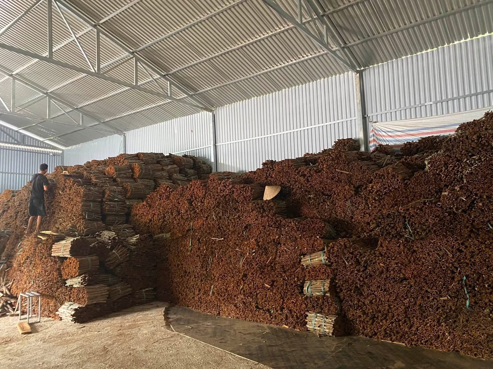 Vietnam cinnamon supplier warehouse with bulk cinnamon