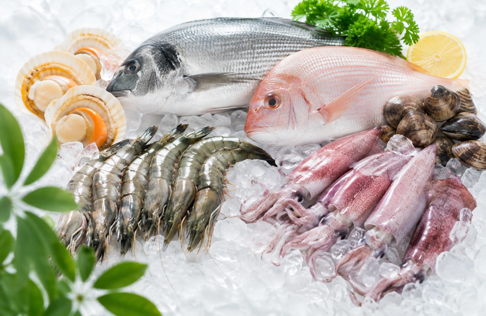 Vietnam seafood and aquatic products for sourcing