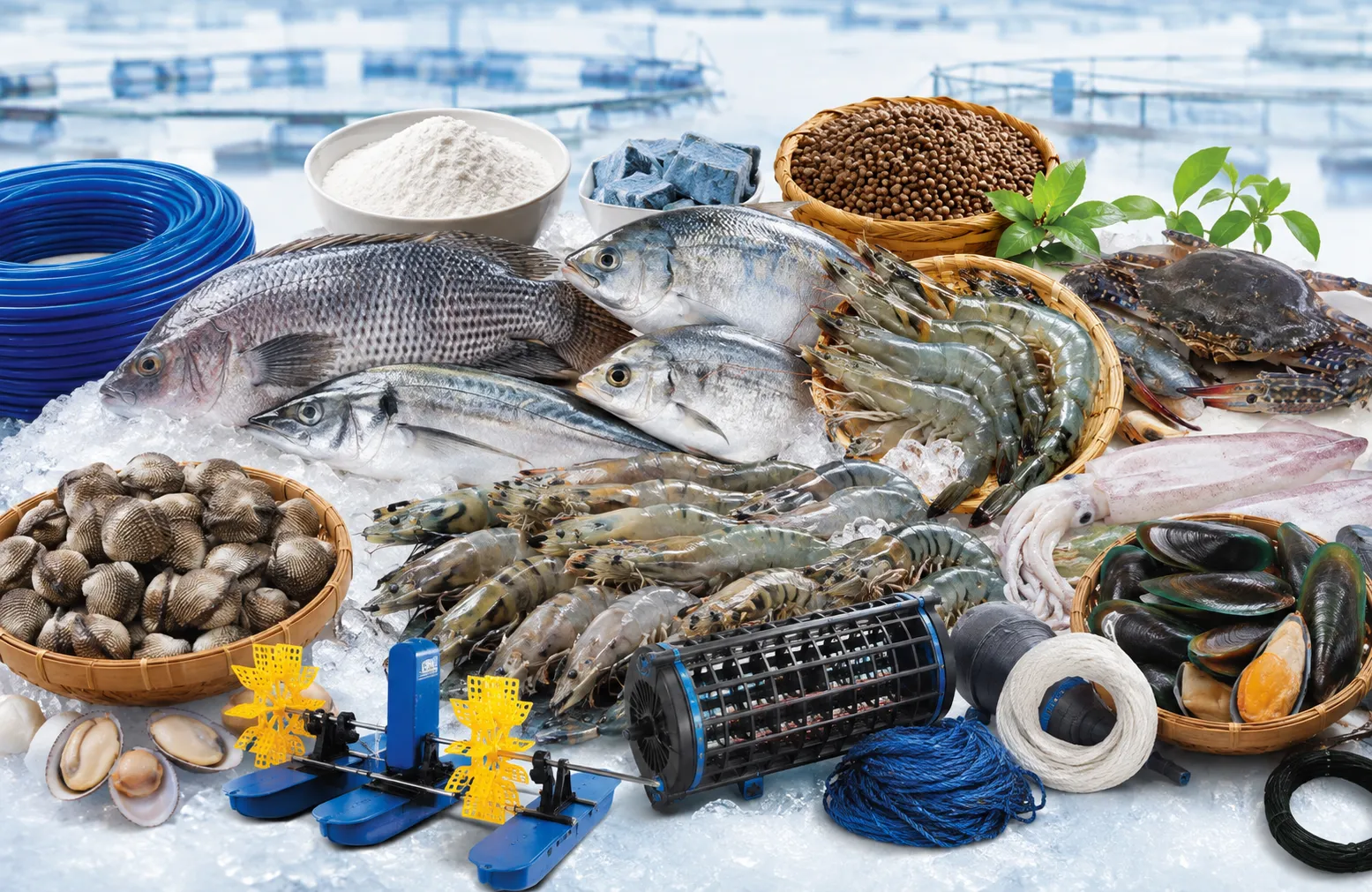 Vietnam aquatic products for sourcing and export