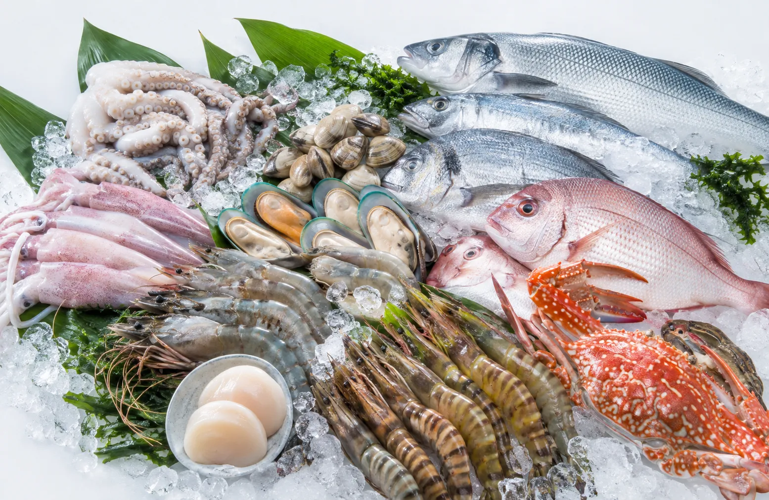 Other Vietnam seafood product requests