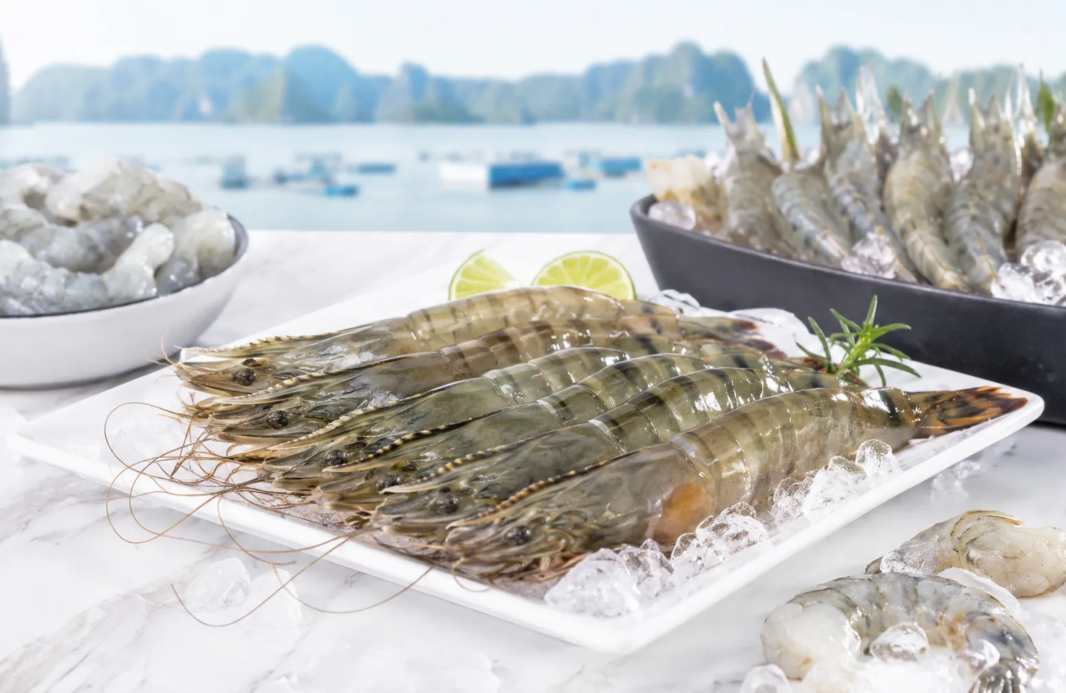 Vietnam shrimp products for export